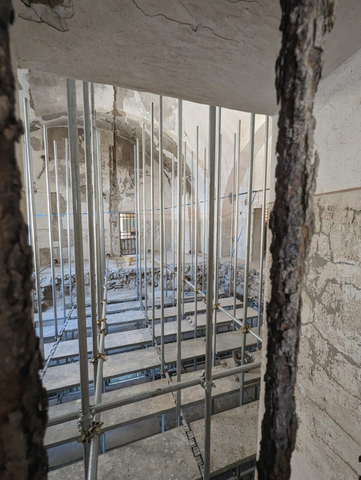 PXL_20230524_141250610