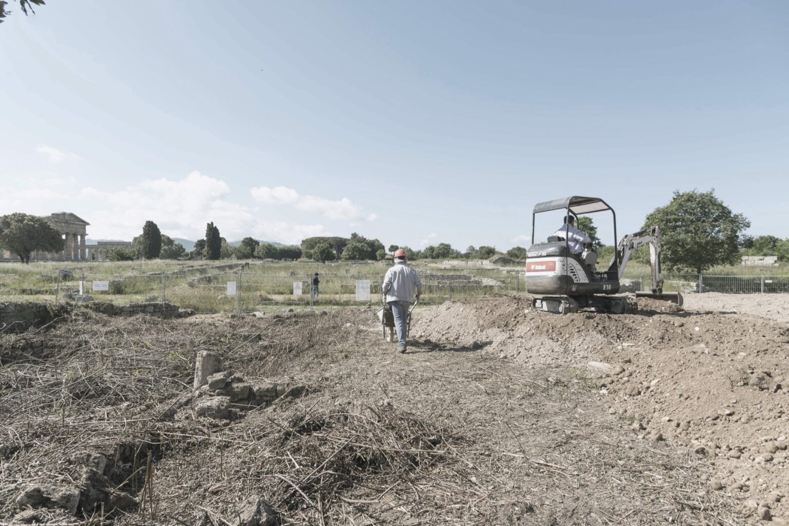 Peastum_24052019_048_DSC7806