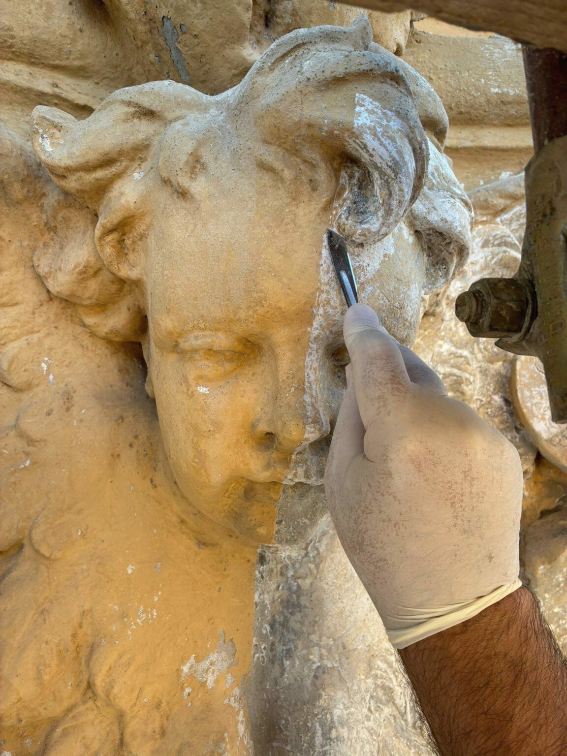 WhatsApp Image 2025-11-14 at 17.27.06