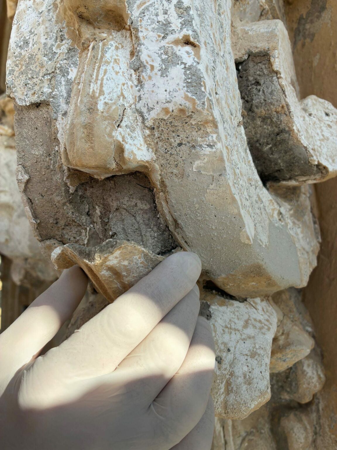 WhatsApp Image 2025-11-14 at 17.27.10 (1)