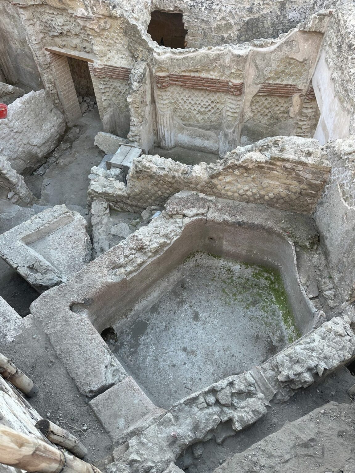 WhatsApp Image 2026-01-20 at 12.35.14 (2)