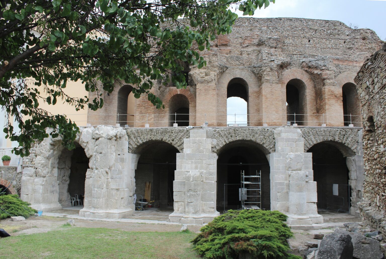 WhatsApp Image 2026-02-12 at 11.43.01 (1)