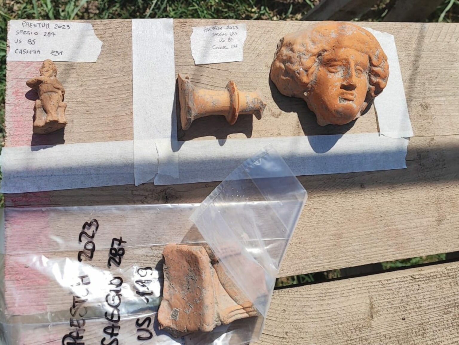 WhatsApp Image 2026-01-12 at 18.21.46