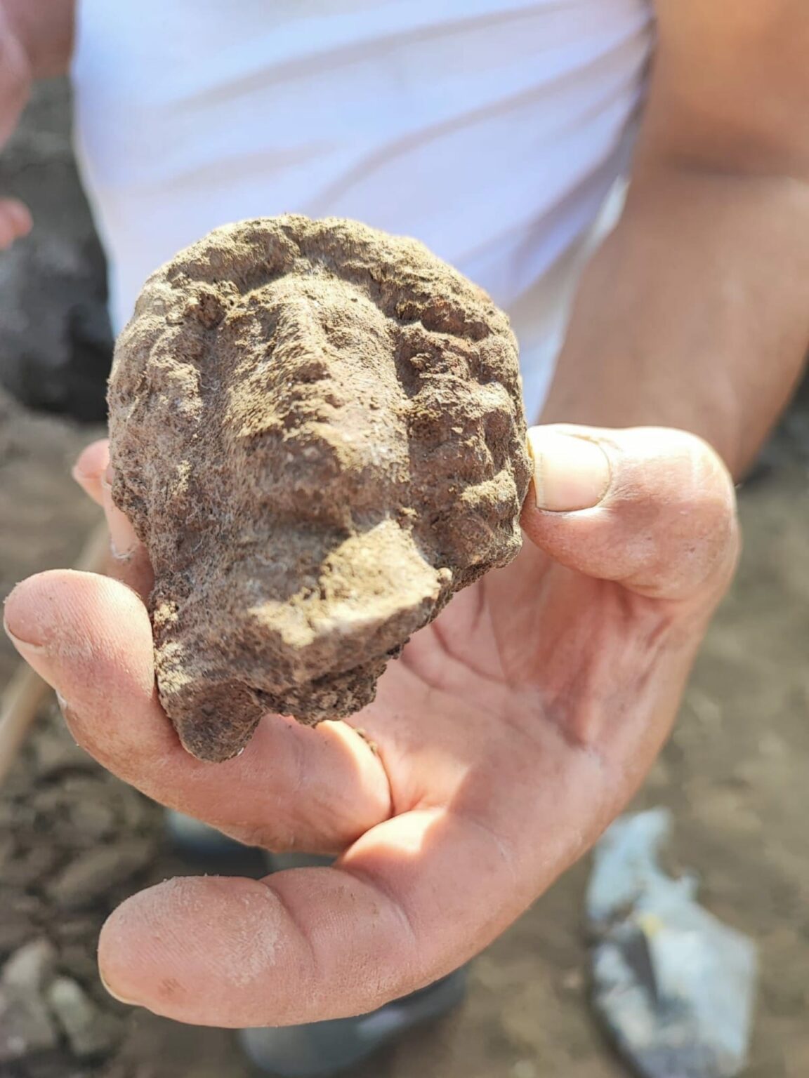 WhatsApp Image 2026-01-12 at 18.21.46 (2)